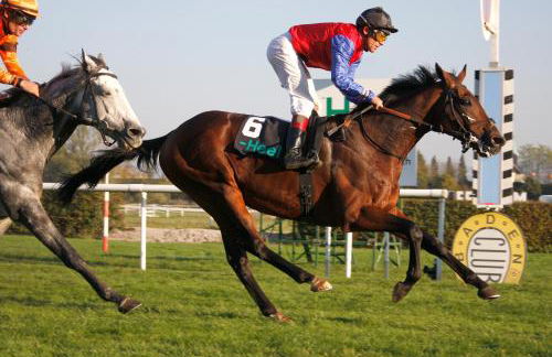 Stilvolle FeWo *Rebland* Balkon-Netflix-Parking - Foto 44