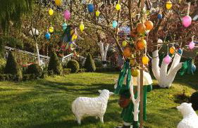 Ferienhaus Haus Herzog - Foto 23