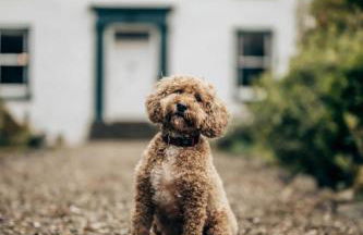 Rosebank House - 12 Guests, 6 Ensuite Bedrooms, EV point, Games Rooms, Wood Burner, Pet Friendly! - Photo 45