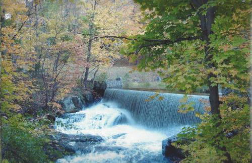 Luxury Cottage at Millpond Falls - Foto 21