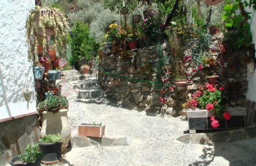 La Granada - Foto 32