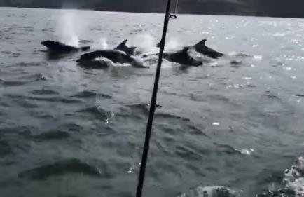 The Anchorage your home in idyllic Staithes - Foto 32