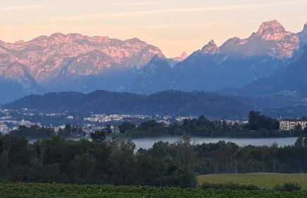 Agriturismo Villa di Modolo - Cortile della Latteria - Foto 15