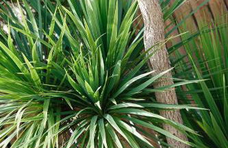 2 Bed in Pwllheli oc-nythyw - Photo 12