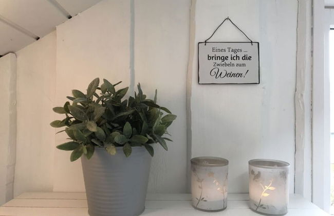 Hein Muck Modern Retreat - Photo 15