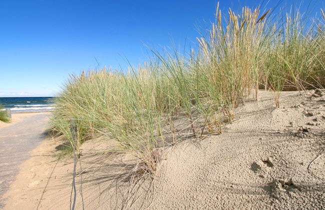 Düneneck App.17 - Foto 32