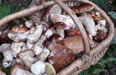 casa vacanza da ghislin - Foto 46