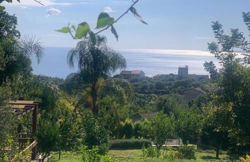 Villa Bonanno Conti - Foto 7