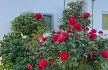 Island Away Chersonisos - Foto 23