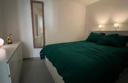 Appartement T2 40 M2 cosy RDC plein centre ville - Foto 24