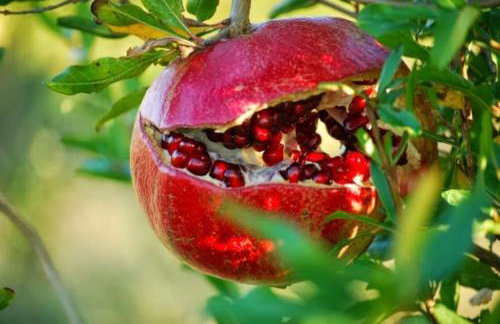 Mini Villas Blue - Foto 58