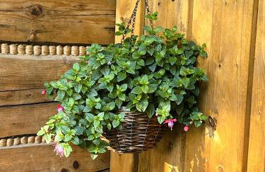 Chata u Lampiarza - Foto 50