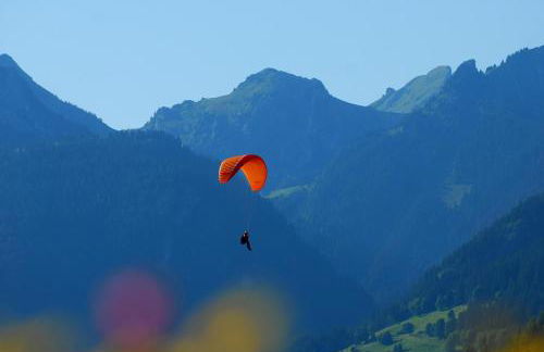 Chalet Clos Moccand - Foto 23