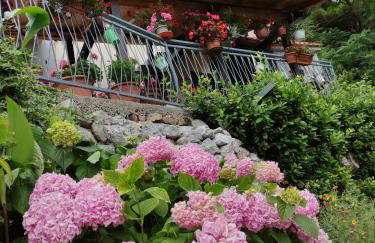 Apartment Bajama - Photo 2