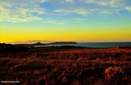 Summer House - Foto 22