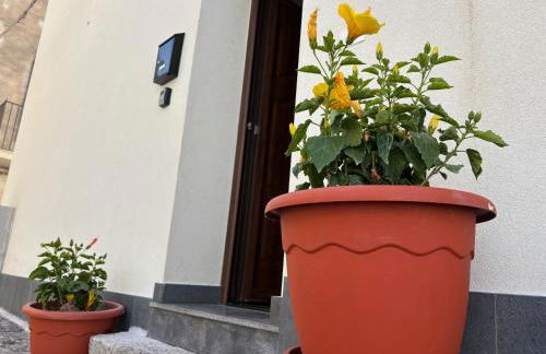 Jasmine House Ustica heart - Foto 25