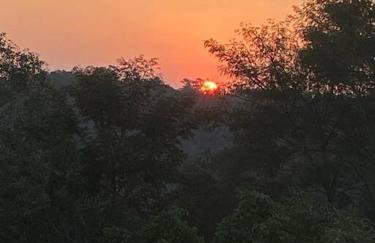 Do Sítio Tinoca - Foto 20