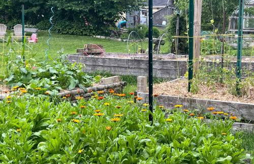 Falls Farmstead 1865 Ellis House Cozy and Comfy Apt #1 - Foto 17