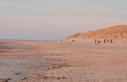 Seevilla Wietjes Whg 7 - Foto 23