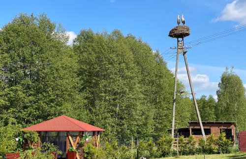 Agro na Wapniarni - Foto 11