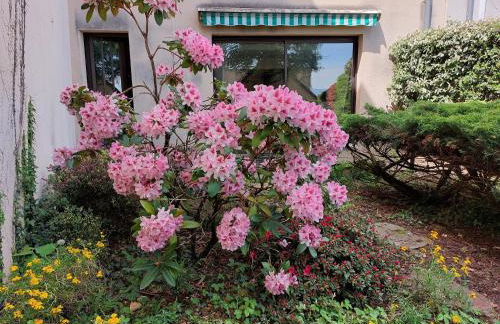 Le DenysPuech 55m2 plein centre avec jardin! - Photo 14