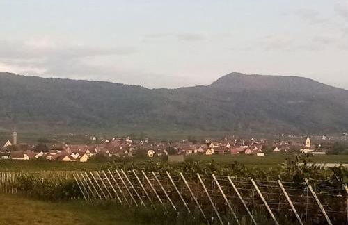 Gite familiale avec piscine Hunawihr, proche de Ribeauvillé et Colmar - Foto 31