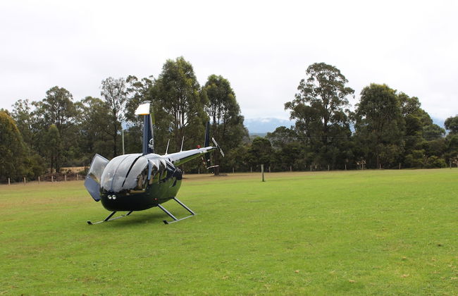 Woodlane Cottages - Foto 47