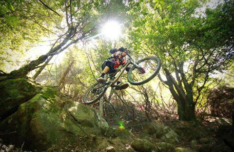 Residence il Mandorlo - Foto 69