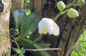 Recanto da Felicidade - Foto 21