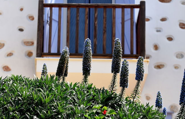 Good Life Greece Eco Villas - Foto 50