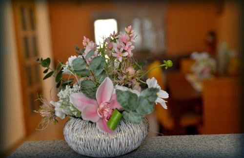 Lovely apartment Anka on the river Danube Vukovar - Foto 16