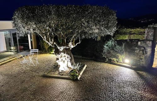 Casa De Santo Andre - Foto 72