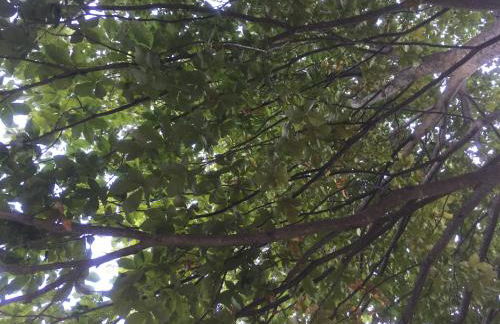 Casale degli ulivi - Foto 31