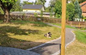 Bauwagen "Rhumeblüte" - Foto 17