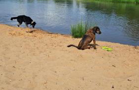 ChillForest SPA - Foto 56