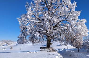 Bergluftsuite am Breitenberg - Foto 32