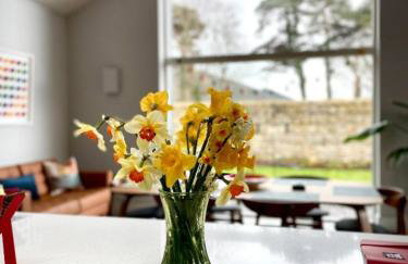 New build eco house in walled garden, Rostrevor - Photo 11