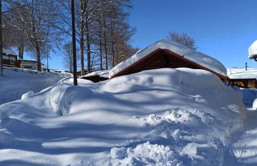 Residence le Polle - Foto 50