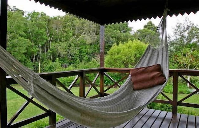 Forest Edge - Foto 35