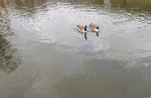 The Bike Shed - Foto 28