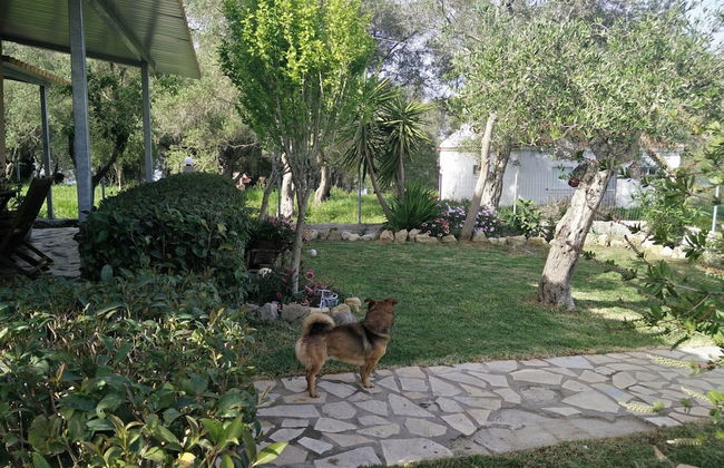 Villa Lou Corfu - Kalivioti Beach - Photo 28