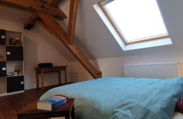 Südschwarzwald Ferienhaus für Gruppen & Monteure - Foto 61