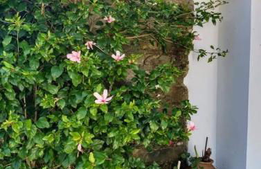 Sunset Vista Apartment B - Foto 28