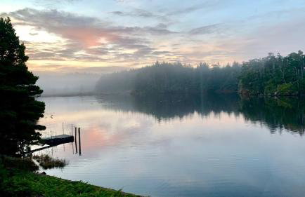 The Redwood Guesthouse at the Floras Lake Getaway - Foto 51