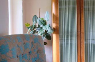 Czereśniowy Dom - Foto 9