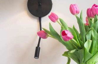 AventinoHome - Foto 17