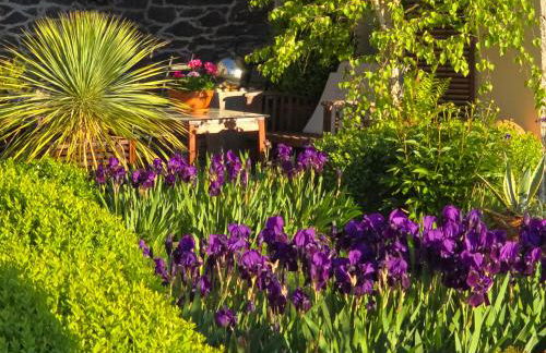 Villa Valerius - Photo 7