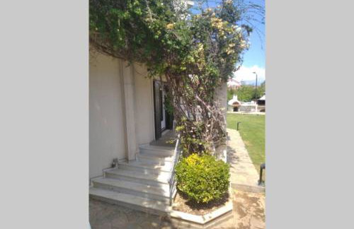 Mega pool and BBQ villa - Foto 49