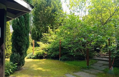 Black & White - Honey - Photo 19