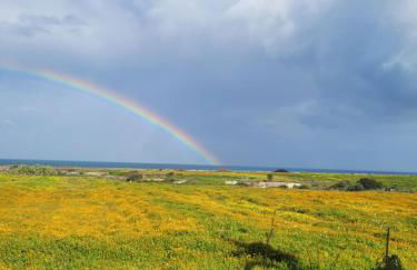 Cala Paradiso - Foto 55